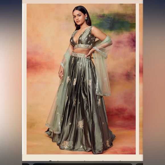 Lashkara Dresses & Skirts - Dusty Olive Embroidered Satin Lehenga Top and Bottom